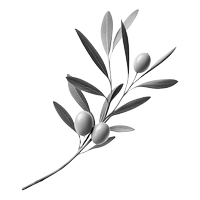 An olive sprig